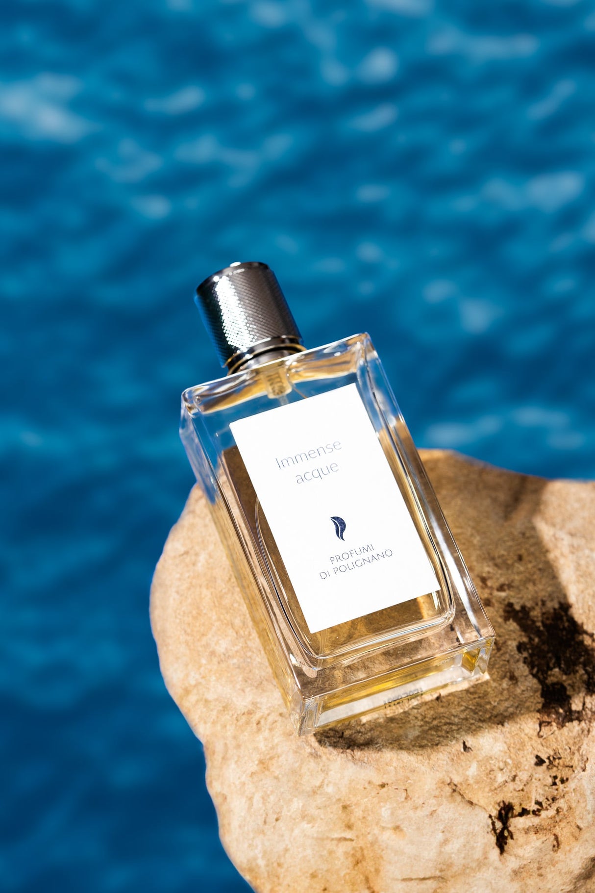 IMMENSE ACQUE E.D.P. 100 ML