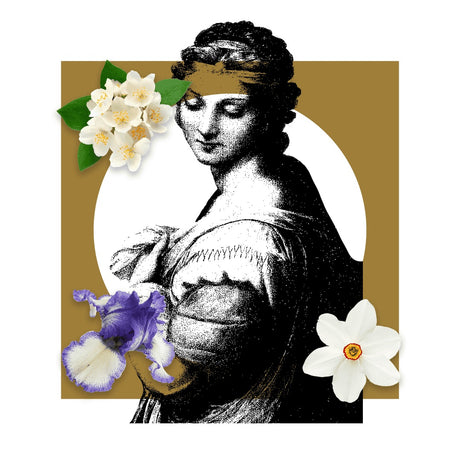 DONNA MARGHERITA EXT.D.P.