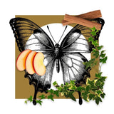 IL GIARDINO EXT.D.P.