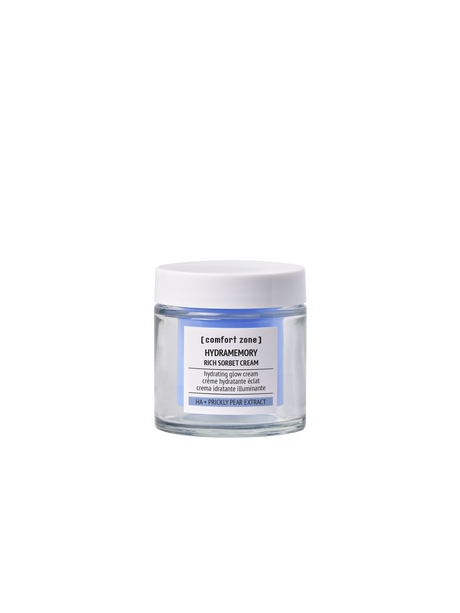 Hydramemory Rich Sorbet Cream Refill 50ml